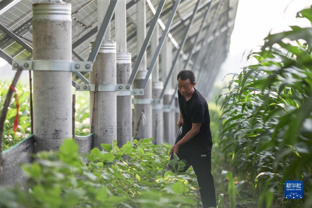 mg游戏免费试玩